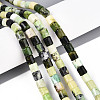 Natural Serpentine Beads Strands G-T141-90A-1
