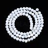 Natural Freshwater Shell Beads Strands SHEL-N003-24-A01-2