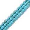 Natural Howlite Beads Strands G-E604-B04-A-1