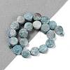 Electroplated Natural Druzy Agate Beads Strands G-M433-01I-2