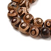 Natural Tibetan 3-Eye dZi Agate Beads Strands G-A240-A03-02-4