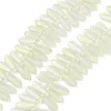 Electroplate Glass Beads Strands X-EGLA-C005-01A-FR02-1