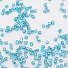6/0 Round Glass Seed Beads SEED-J011-F6-179-3