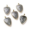 Faceted Natural Labradorite Pendants X-G-F340-02D-3