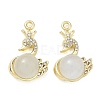 Alloy Rhinestone Pendants FIND-D044-22G-04-1