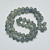 Frosted Electroplate Glass Shell Beads Strands EGLA-M002-B04-2