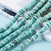 Natural Howlite Beads Strands X-TURQ-L030-04C-01-4