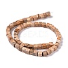 Natural Picture Jasper Beads Strands G-C240-01-3