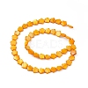 Natural Freshwater Shell Dyed Beads Strands SHEL-K001-001H-2