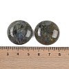 Natural Labradorite Cabochons G-H1596-FR-25mm-05-3