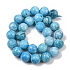 Natural Gemstone Hemimorphite Round Beads Strands G-L145-14mm-01-4