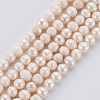 Natural Cultured Freshwater Pearl Beads Strands X-PEAR-N010-006-2