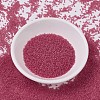 MIYUKI Delica Beads X-SEED-J020-DB0778-2