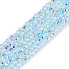 Transparent Glass Beads Strands LS-EGLA-N028-01A-A06-1