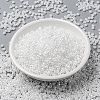 MIYUKI Round Rocailles Beads SEED-X0055-RR0528-2