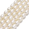 Natural Cultured Freshwater Pearl Beads Strands PEAR-J006-20B-01-1