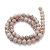 Natural Maifanite/Maifan Stone Beads Strands G-P451-01A-B-4