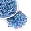 Picasso Transparent Glass Seed Beads SEED-N012-11K-1