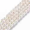 Grade AAA Natural Cultured Freshwater Pearl Beads Strands PEAR-N012-03A-2