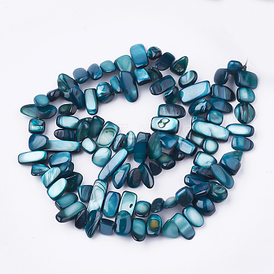Freshwater Shell Beads Strands X-SHEL-S274-40B-1