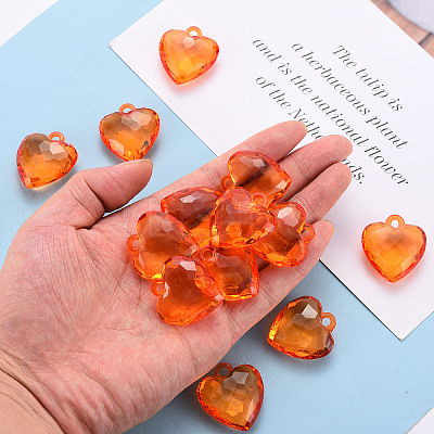 Transparent Acrylic Pendants TACR-T024-03B-921-1