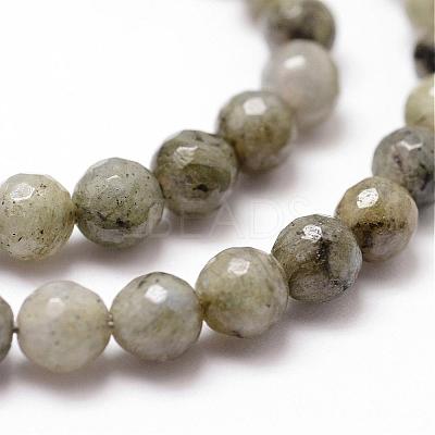 Natural Labradorite Beads Strands G-D840-10-6mm-1