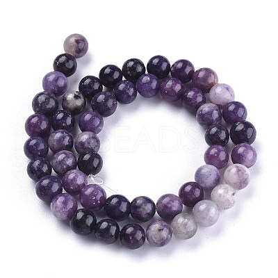 Natural Lepidolite/Purple Mica Stone Beads Strands G-K415-10mm-1