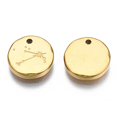 316 Surgical Stainless Steel Charms LS-STAS-S116-418B-G-1