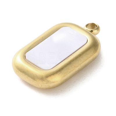 304 Stainless Steel Acrylic Pendants STAS-M091-02C-G-1