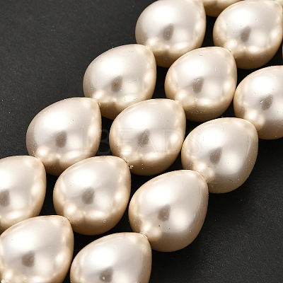 Electroplate Shell Pearl Beads Strands BSHE-G010-16x20mm-01-1