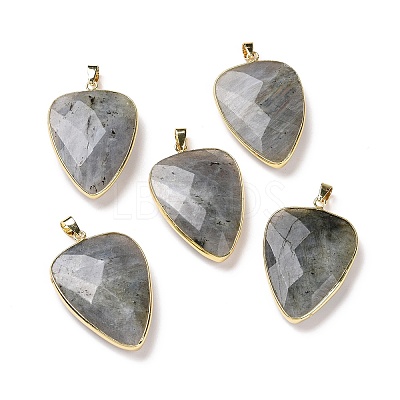 Faceted Natural Labradorite Pendants X-G-F340-02D-1