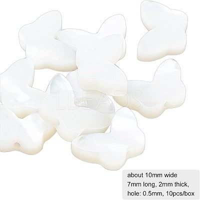 Natural White Shell Mother of Pearl Shell Beads SSHEL-BC0001-15-1