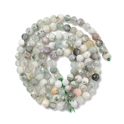 Natural Tree Agate Beads Strands G-RM250104-D6-1