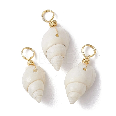 Natural Spiral Shell Pendants PALLOY-JF02492-01-S-1