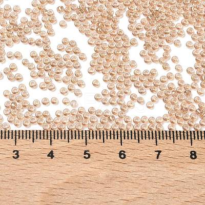 MIYUKI Round Rocailles Beads SEED-G007-RR3521-1