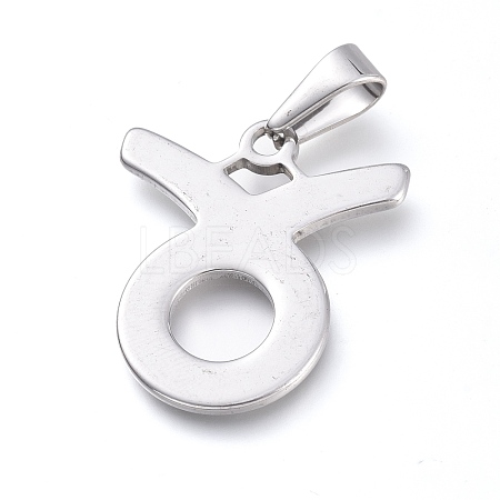 Non-Tarnish 304 Stainless Steel Pendants STAS-L210-06F-P-1