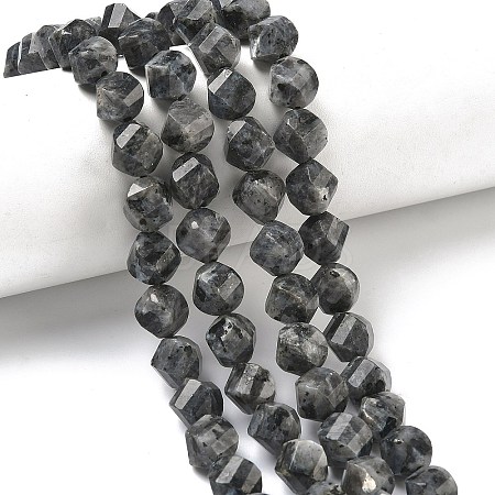 Natural Larvikite Beads Strands G-C267-B24-1