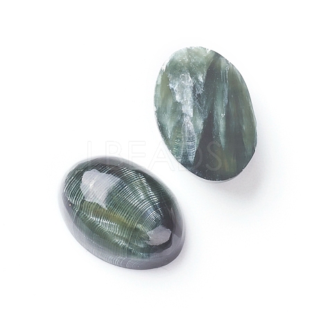 Natural Seraphinite Cabochons X-G-E557-04D-1