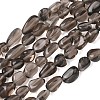Natural Ice Obsidian Beads Strands G-C286-A15-2