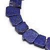 Natural Gemstone Lapis Lazuli Beads Strands X-G-L157-01-2