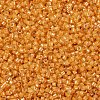 MIYUKI Delica Beads X-SEED-J020-DB2045-3