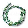 Natural Freshwater Shell Beads Strands SHEL-K006-02B-3