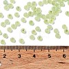 8/0 Glass Seed Beads SEED-Z001-C-E12-4