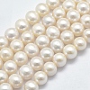 Natural Cultured Freshwater Pearl Beads Strands PEAR-F007-28-01-1