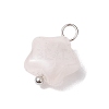 Natural Rose Quartz Star Charms with Brass Loops PALLOY-JF02733-02-3