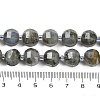 Natural Labradorite Beads Strands G-G182-B02-06-5