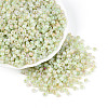 6/0 Glass Seed Beads SEED-N008-07E-1