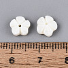 Natural Freshwater Shell Carved Beads SHEL-N038-36-4