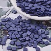 MIYUKI TILA Beads SEED-X0054-TL2075-1