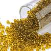 TOHO Round Seed Beads SEED-JPTR08-2155-1